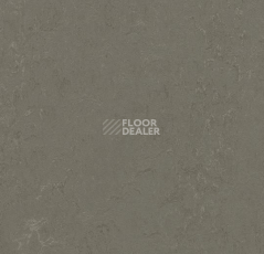 Кварцвиниловые полы Forbo Marmoleum Click 333723-633723 nebula фото 1 | FLOORDEALER